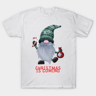 Gnome Christmas is coming T-Shirt